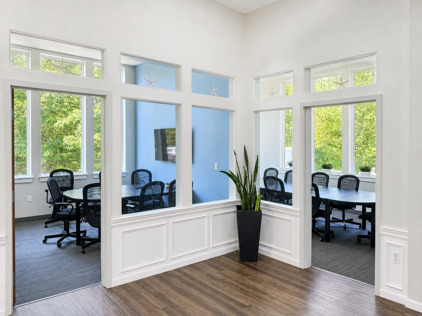 Glass-walled meeting rooms off the main corridor at Seacoast Professional Suites